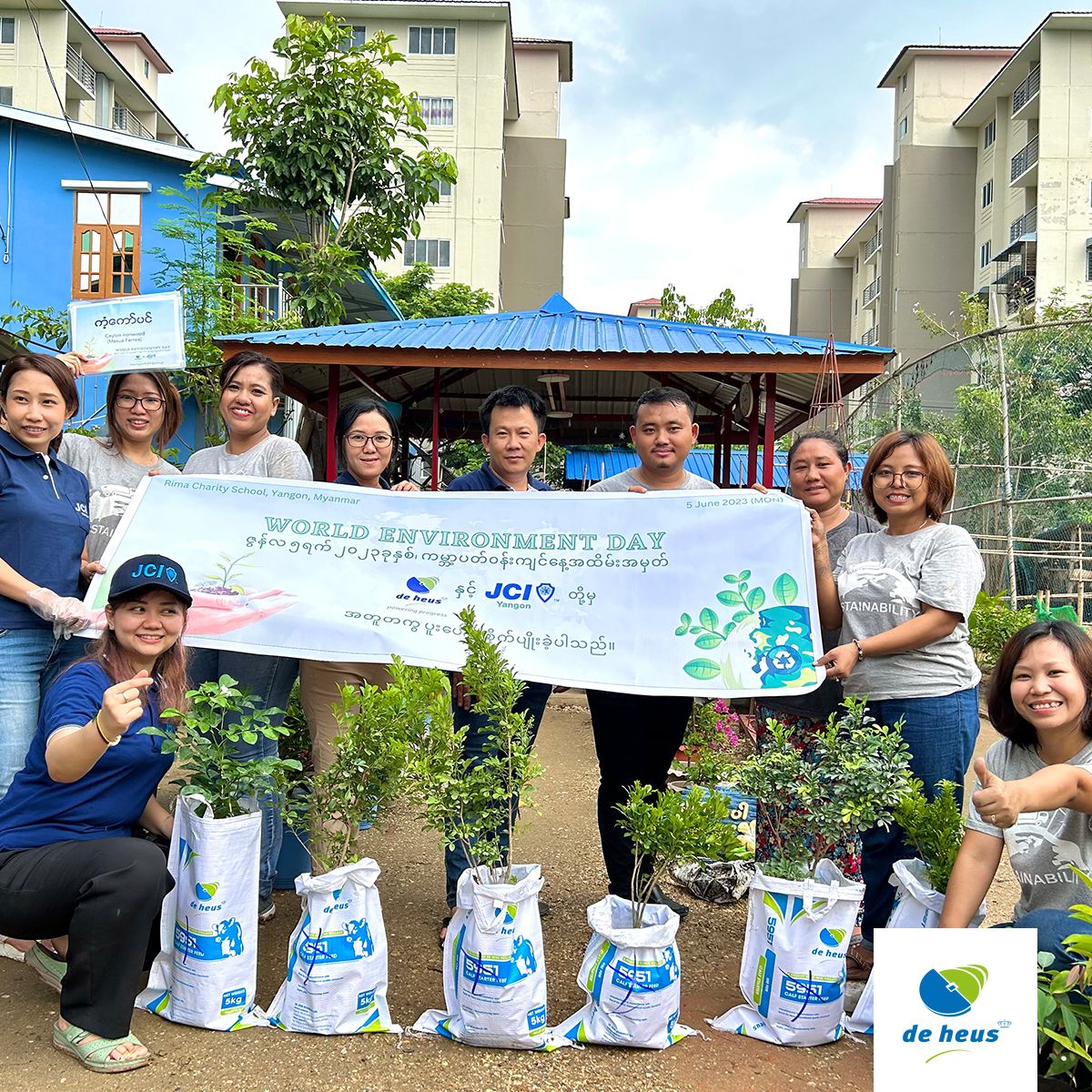 a-group-of-employees-plant-an-umbrella-tree