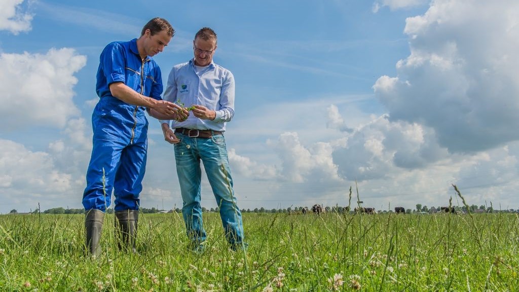 two men are standing and discussing in the grass field