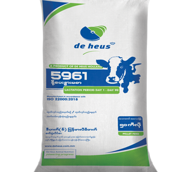 a thumbnail photo of a dairy cow feed bag named, 5961
