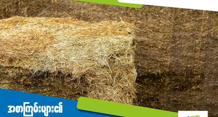 an image of the stuck of straw