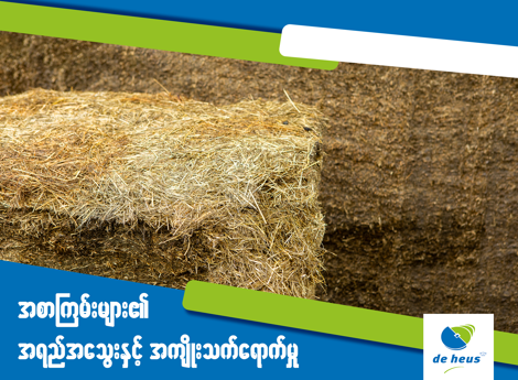 an image of the stuck of straw