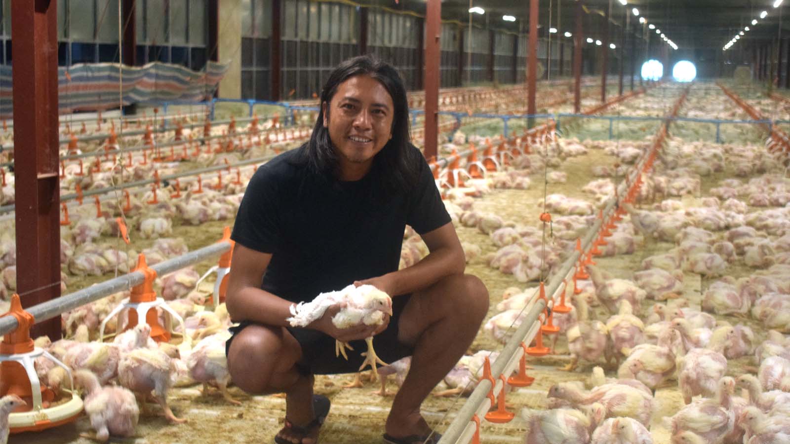 a man sitting and holding a small chicken inside of a broiler farm.